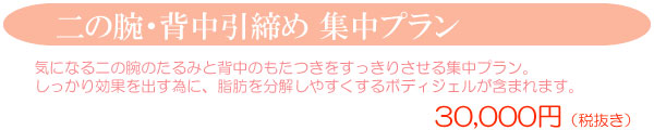 二の腕・背中引締めプラン